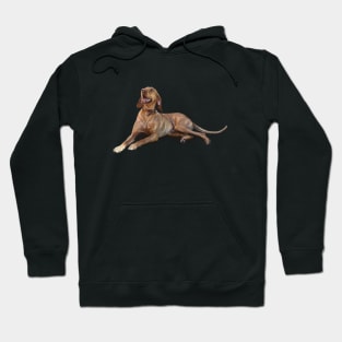 The Hungarian Vizsla Hoodie